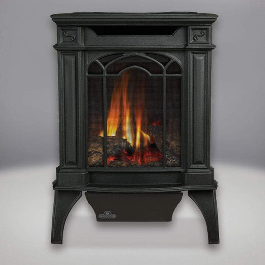 Napoleon Arlington 19" Metallic Black Direct Vent Cast Iron Gas Stove With Electronic Ignition