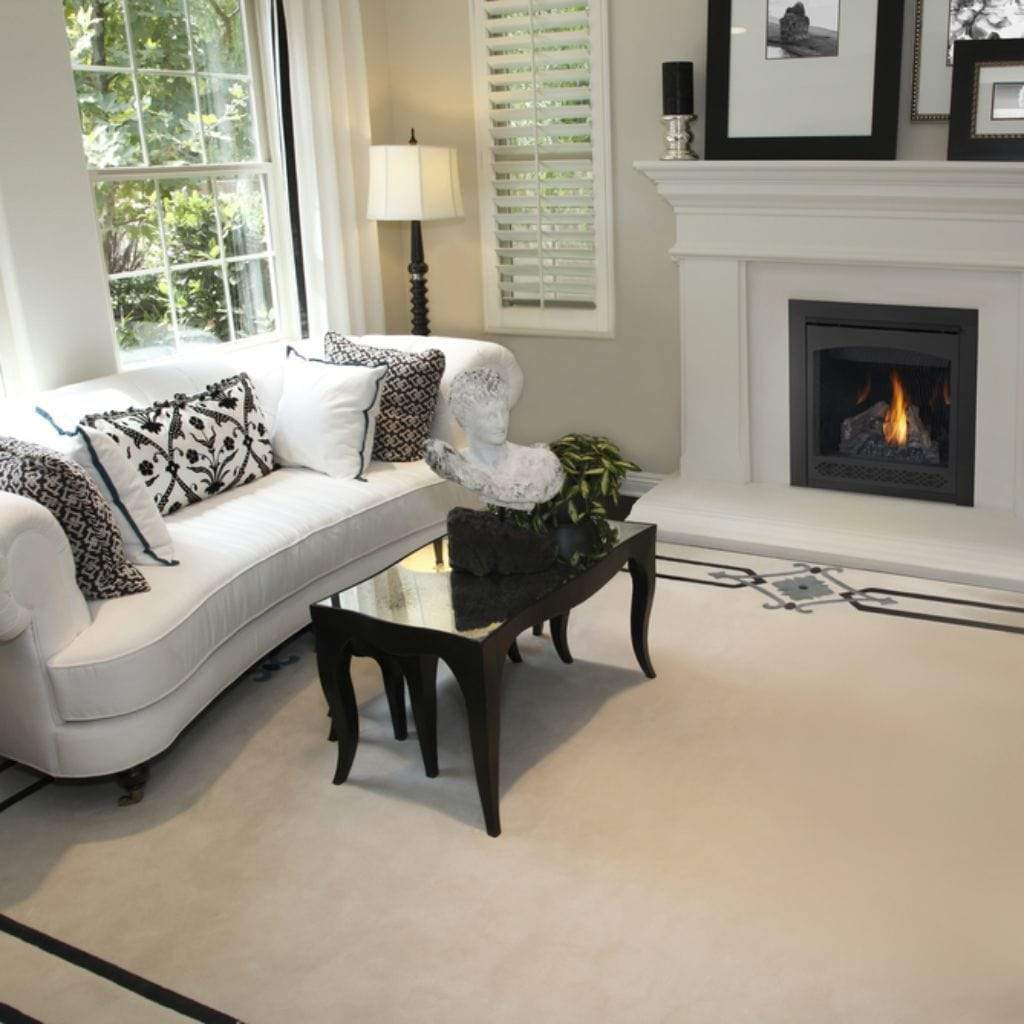 Napoleon Ascent 30" Electronic Ignition, Natural Gas Direct Vent Fireplace