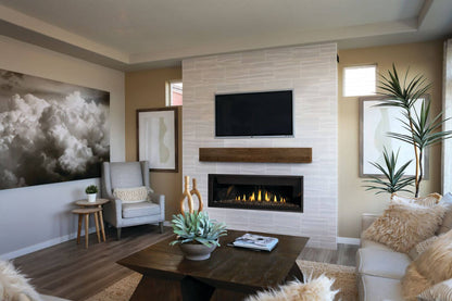 Napoleon Ascent Premium 56" Electronic Ignition, Natural Gas Direct Vent Linear Fireplace