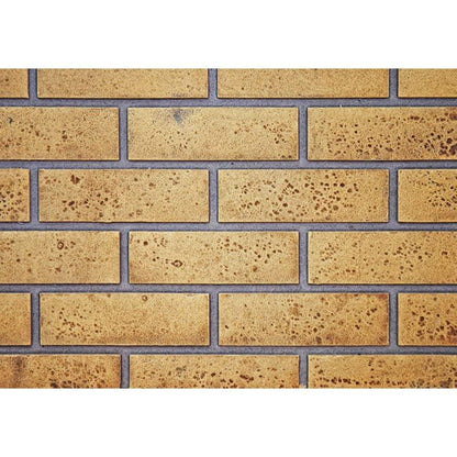 Napoleon Decorative Panels Accessory for 42" Ascent Deep Series Gas Fireplace
