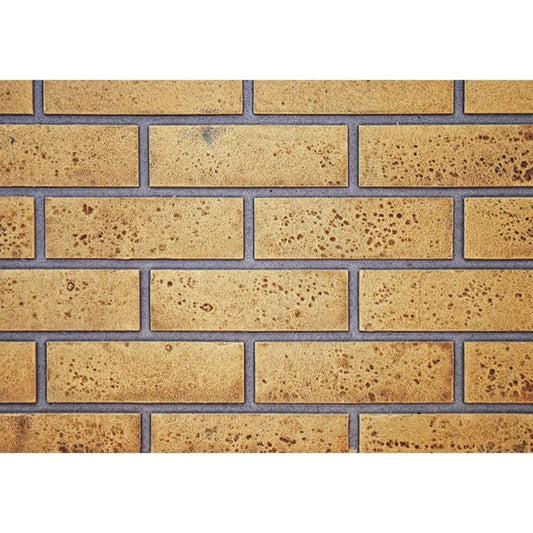 Napoleon Decorative Panels Accessory for 42" Ascent Deep Series Gas Fireplace