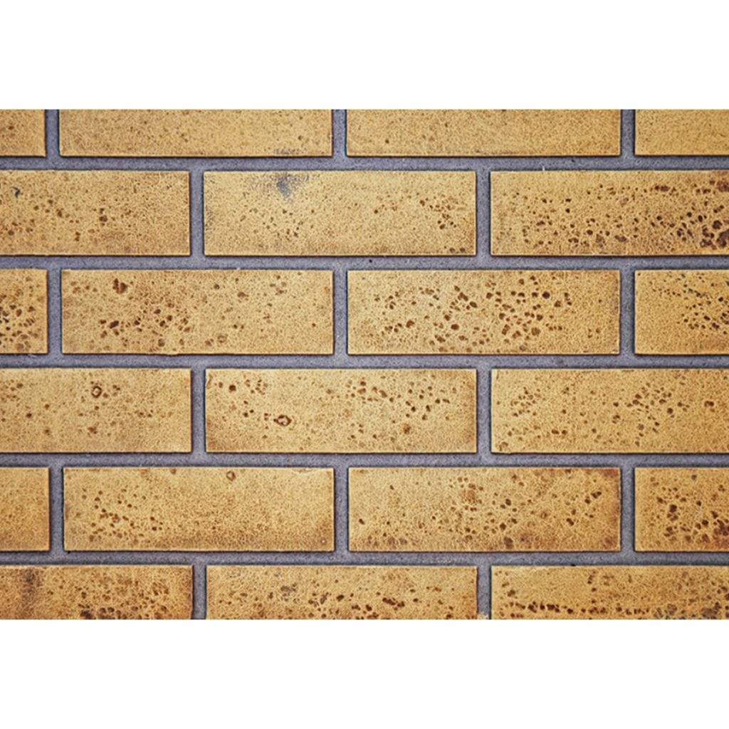Napoleon Decorative Panels Accessory for 42"/46" Ascent Fireplaces