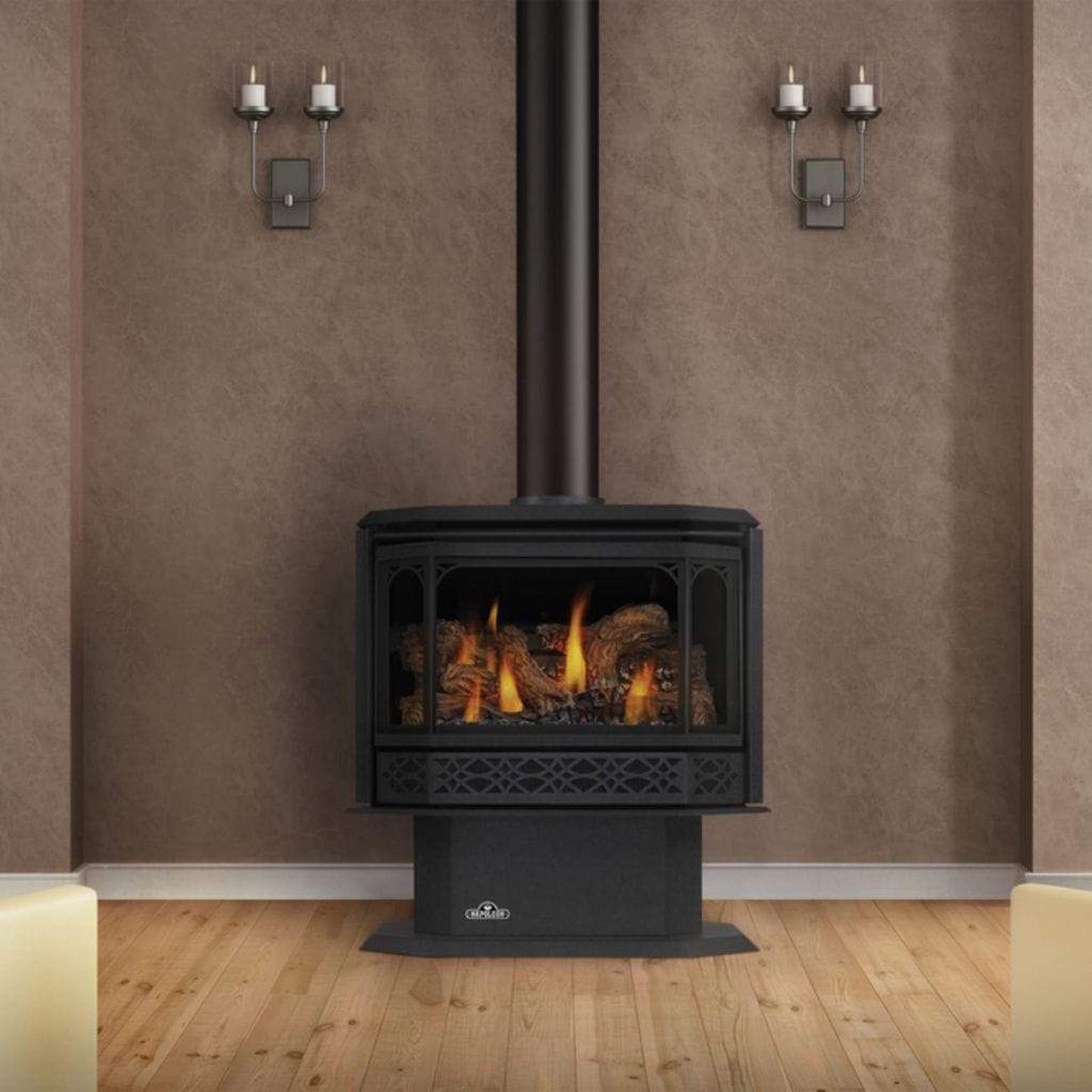 Napoleon Havelock 28" Black Direct Vent Gas Stove With Millivolt Ignition