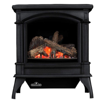 Napoleon Knightsbridge 27" Metallic Black Direct Vent Cast Iron Gas Stove