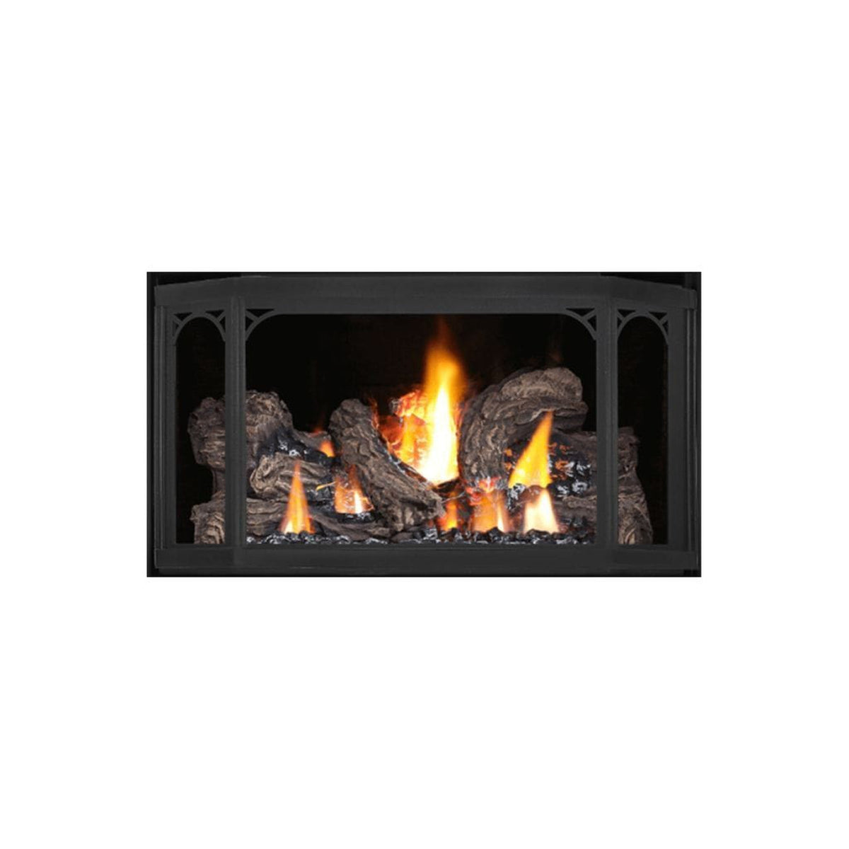Napoleon Metallic Black Decorative Doors For Havlock Direct Vent Gas Stove