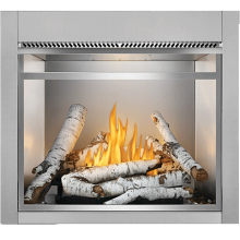 Napoleon Premium Screen Kit With 1" Stainless Steel Frame for 42" Riverside Fireplace